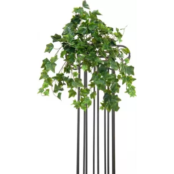 EUROPALMS műborostyánbokor Premium, 50 cm 82502507
