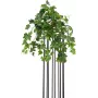 EUROPALMS műborostyánbokor Premium, 50 cm 82502507