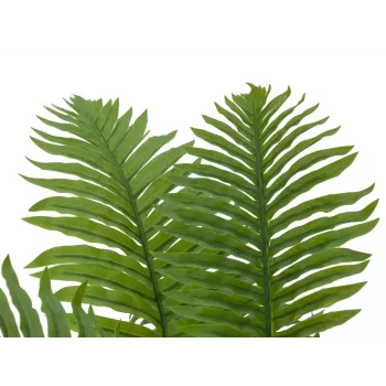 EUROPALMS Cycas pálma műnövény, 70 cm 82509604
