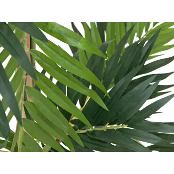 EUROPALMS műnövény pálma, 150cm 82509495