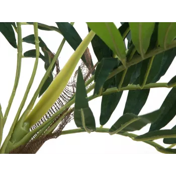 EUROPALMS műnövény pálma, 150cm 82509495