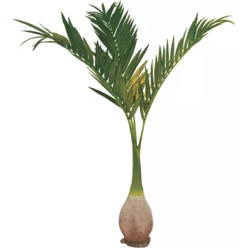 EUROPALMS Phoenix pálma műnövény, 240cm 82511353