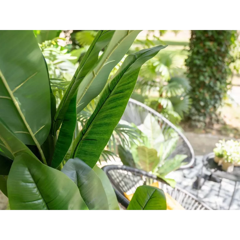 EUROPALMS műbanánfa, 210 cm 82509507