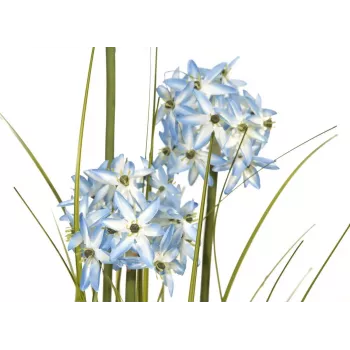 EUROPALMS Allium fű műnövény, kék, 120 cm 82600168