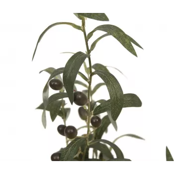 EUROPALMS műolajfa, 68 cm, zöld levelek, fekete cserép 82506421