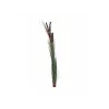 EUROPALMS műnádvirág buzogánnyal, sötétzöld, 152cm 82505854
