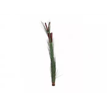 EUROPALMS műnádvirág buzogánnyal, sötétzöld, 152cm 82505854