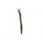 EUROPALMS műnádvirág buzogánnyal, sötétzöld, 152cm 82505854