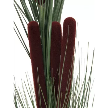 EUROPALMS műnádvirág buzogánnyal, sötétzöld, 152cm 82505854