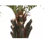 EUROPALMS Kentia-pálma Deluxe műnövény 300 cm 82511370