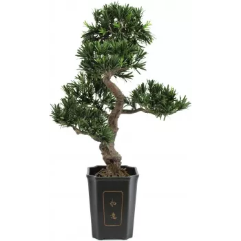 EUROPALMS Bonsai Podocarpus műnövény, 80 cm 82600116