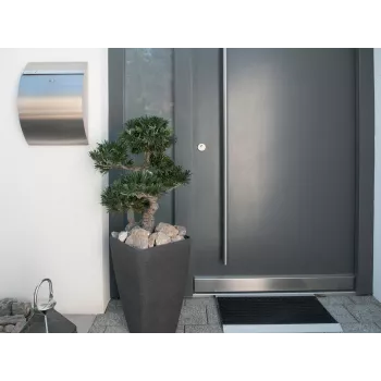 EUROPALMS Bonsai Podocarpus műnövény, 80 cm 82600116