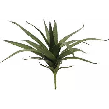 EUROPALMS Aloe (EVA), mű, zöld, 50 cm (82530570)