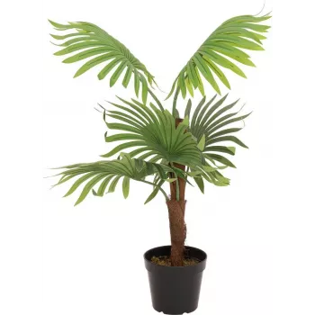 EUROPALMS legyezőpálma műnövény, 88 cm, zöld, fekete cserép 82509301