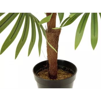 EUROPALMS legyezőpálma műnövény, 88 cm, zöld, fekete cserép 82509301
