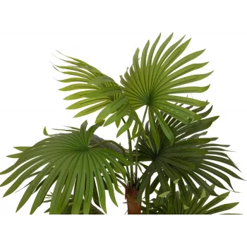 EUROPALMS legyezőpálma műnövény 130 cm 82509302