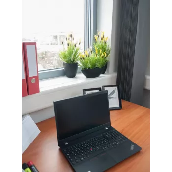 EUROPALMS műzabgyökér-növény, 40 cm 82505639