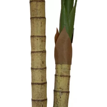EUROPALMS Areca-pálma, 2 törzsű, műnövény, 120 cm (82509410)