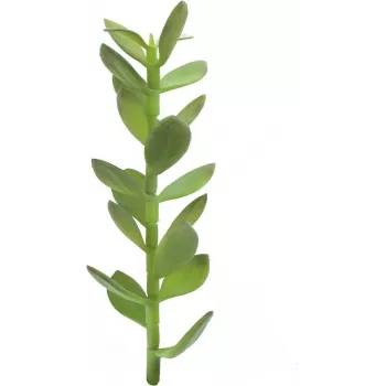 EUROPALMS szerencsefa-csemete műnövény, 30cm 82809010