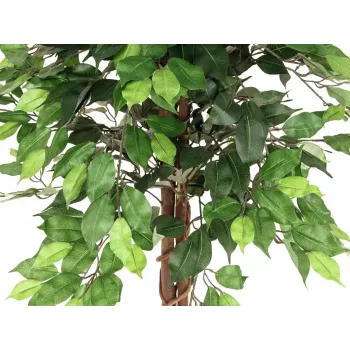 EUROPALMS Ficus Benjamina többtörzsű műnövény, 150 cm 82506125