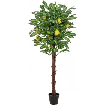 EUROPALMS mű citromfa, 150 cm 82507815