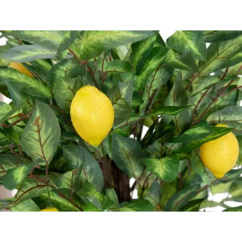 EUROPALMS mű citromfa, 150 cm 82507815