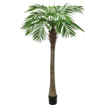EUROPALMS Phoenix pálma Luxor műnövény, 300 cm 82510723