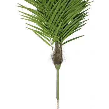 EUROPALMS Phoenix pálma Luxor műnövény, 300 cm 82510723