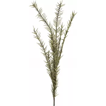 EUROPALMS műrozmaringág (EVA), zöld 82531064