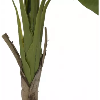 EUROPALMS banánfa műnövény, 145 cm 82509504