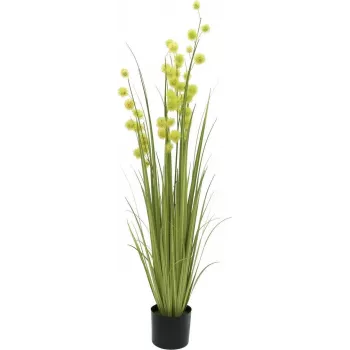 EUROPALMS pompom fű műnövény, 122 cm, zöld 82500136