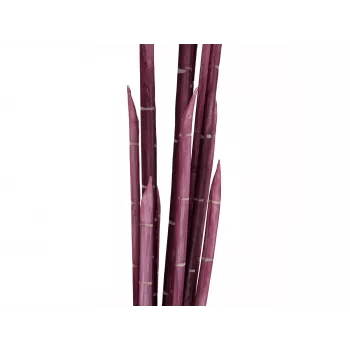 EUROPALMS Magic Onion fű műnövény, rózsaszín, 134 cm 82532003