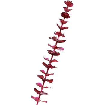 EUROPALMS műkristály eukaliptusz ág, bordóvörös, 81cm 82600203