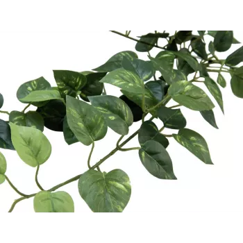 EUROPALMS Pothos bokor sövény Classic, mű, 70cm (82502201)
