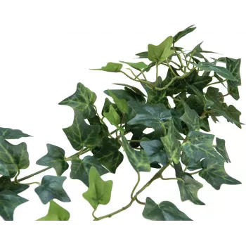 EUROPALMS mű borostyán bokor takaró Classic, 70cm 82502208