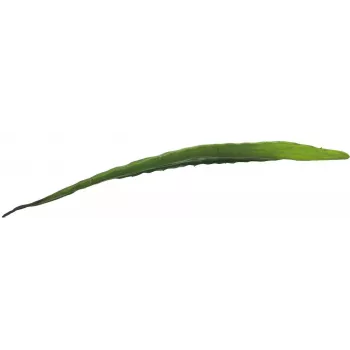 EUROPALMS mű aloelevél (EVA), zöld, 60cm 82530581