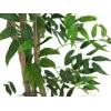 EUROPALMS Ficus Longifolia műnövény, 165cm 82506350