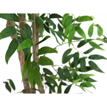EUROPALMS Ficus Longifolia műnövény, 165cm 82506350