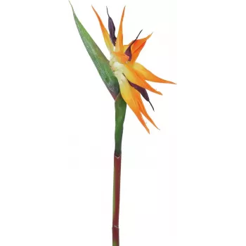 EUROPALMS mű madárvirág, narancssárga, 95 cm 82530559