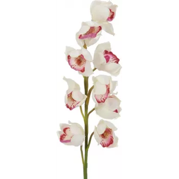 EUROPALMS Cymbidium ág, mű, fehér-rózsaszín, 90cm 82530312