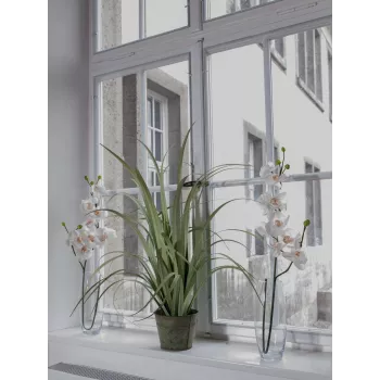 EUROPALMS műorchideaág, krém-fehér, 100cm (82530323)