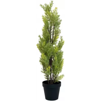 EUROPALMS leylandi ciprus műnövény, 60cm 82606959