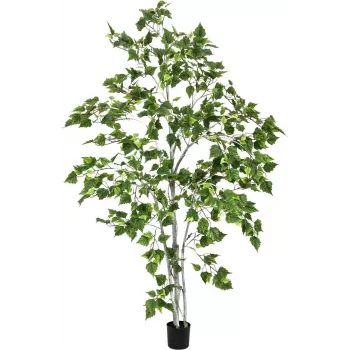 EUROPALMS nyírfa műnövény 180cm 82505231