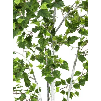 EUROPALMS nyírfa műnövény 180cm 82505231