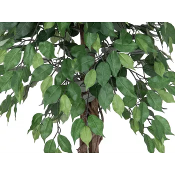 EUROPALMS Ficus Benjamina többtörzsű műnövény, 180 cm 82506126