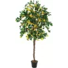 EUROPALMS bougainvillea műnövény, sárga, 180 cm 82507081