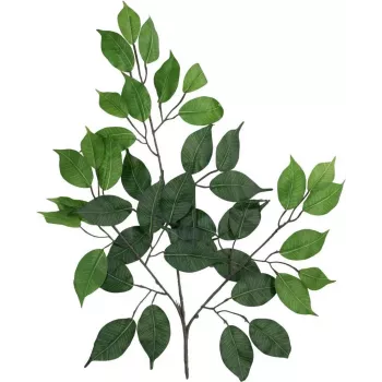 EUROPALMS mű Ficus Benjamina ág, 12-es csomag 82506101