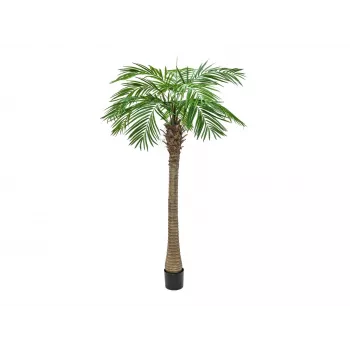 EUROPALMS Phoenix Palm Luxor műnövény, 210 cm 82510721