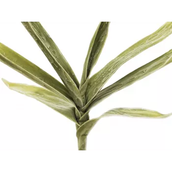 EUROPALMS mű jukkaág (EVA), zöld 82531063