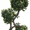 EUROPALMS Ficus Multi Spiral Trunk műnövény, 160 cm 82501563